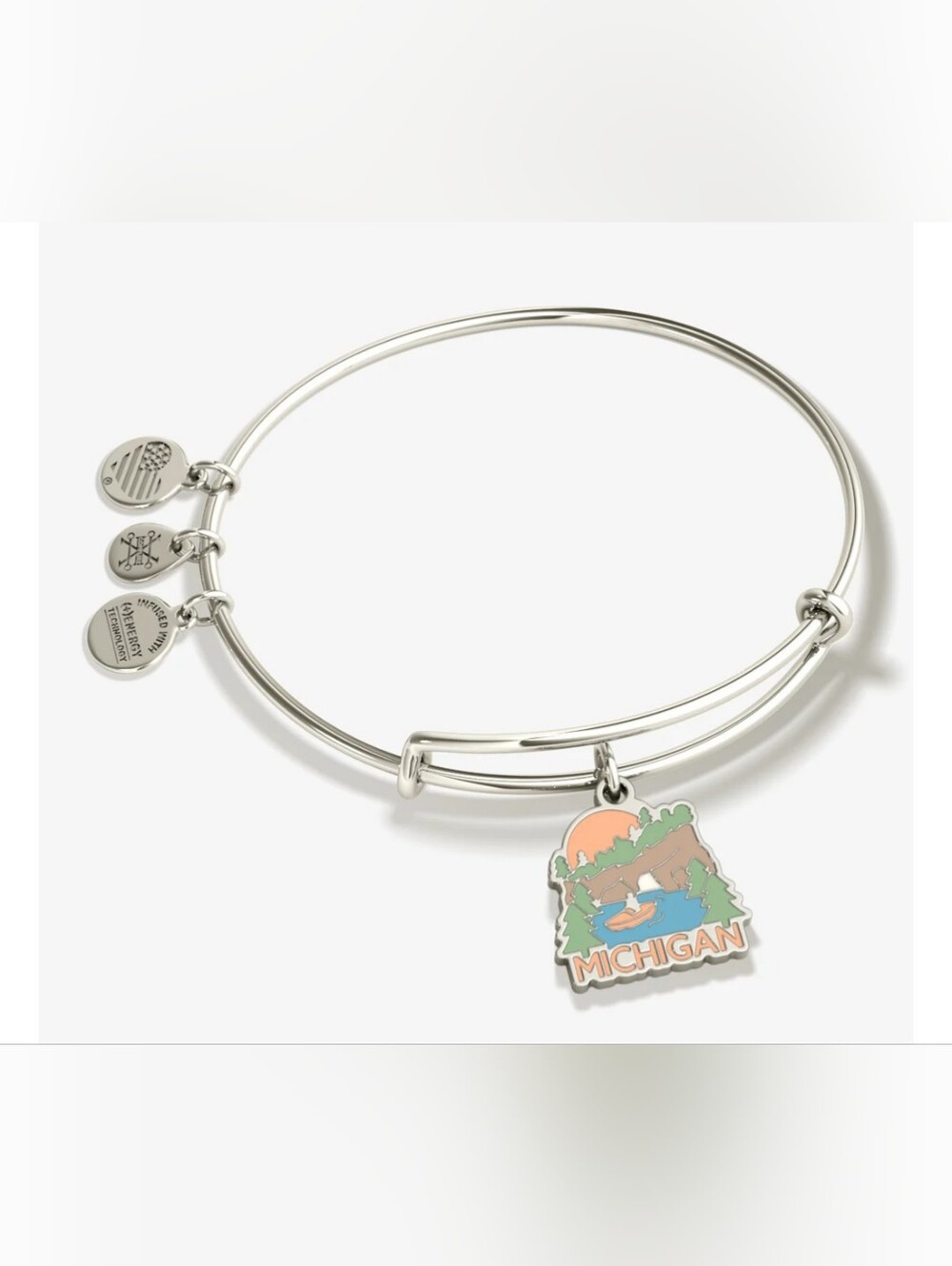 Alex And Ani MICHIGAN Silver Charms Bracelet.